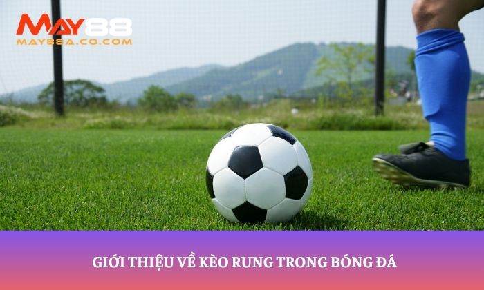 Giới thiệu về kèo rung trong bóng đá